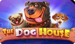 HighFlyBet Casino – The Dog House